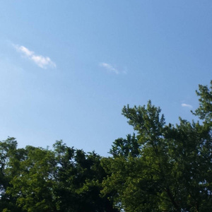 军舰上的女兵免费观看完整版全集
